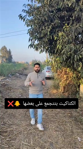 أسباب تجمع الكتاكيت على بعضها وكيفية تجنبها