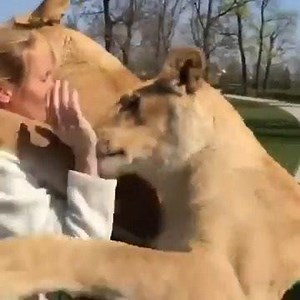 1.2M views · 10K reactions | They give us so much love <3 | PETS | Facebook