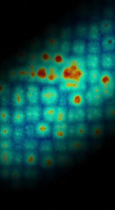 Proof of the Multiverse? 🌌✨” Hashtags: #Multiverse #CosmicDiscovery #Universe #ScienceBreakthrough SEO Keywords: multiverse evidence, cosmic collision, universe bubble, CMB anomaly, parallel universes, space theory | Galaxies Uncharted