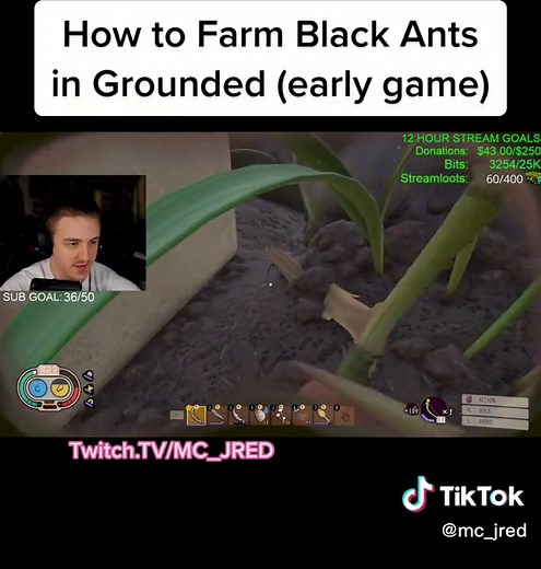 How to Farm Black Ants in Grounded (Early Game) - Tips and Tricks