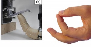 Robotic finger mimics human digits as it is heated and cooled