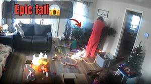 Woman takes unexpected fall when stuck tree section breaks free too easily