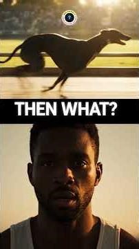 Top 5 Fastest Guard Dogs (Speed Test) ⚡ #GuardDogs #FastestDogs #DogSpeed #Top5