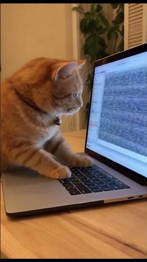 “Cat Destroys Laptop While Typing 😹🔥 | Funniest Cat Reaction of 2025 | Must Watch!”