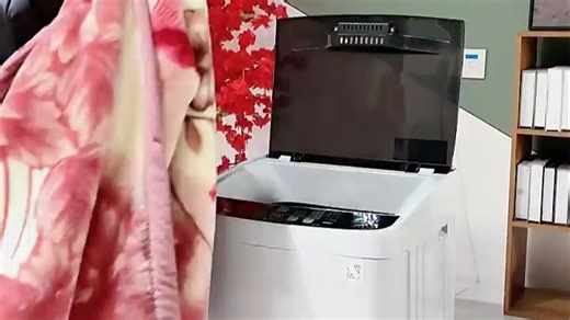 志高（CHIGO）官方正品全自动洗衣机