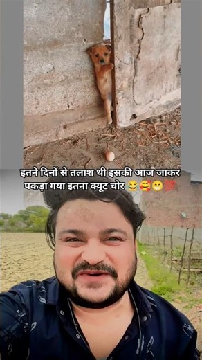 कितना शरारती पप्पी है 😂🥰💯🤍🐕 #shorts #pets #dogbaby #viralvideo #tutorials