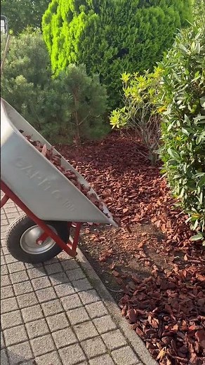Darum brauchen Sie Rindenmulch #gardenhacks #gardening #gartenideen #outbay