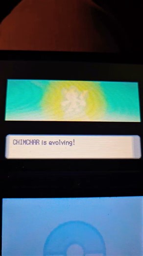 cat song evolution #cat