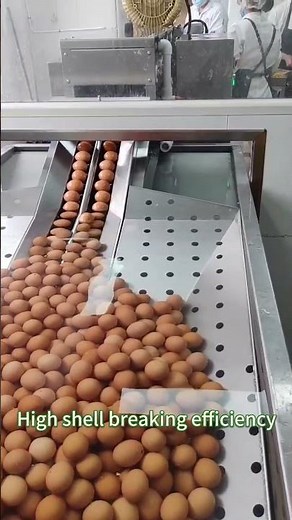 Gondor Automatic Egg Breaker & Yolk Separator Machine – Fast, Precise & Hygienic #shortsvideo
