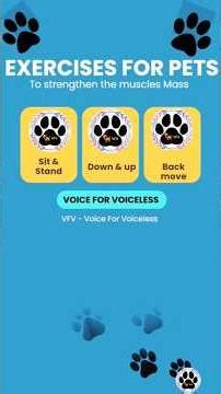 Easy Strengthening exercises for Pet dogs at home: Exercise1 #shorts #dog #pets #health #home #viral