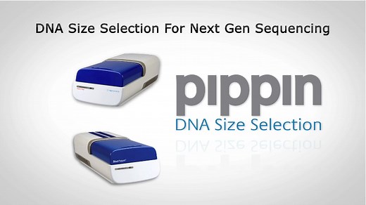 Blue Pippin Automated DNA Size Selection