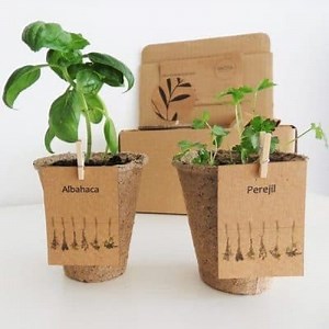 What is a Biodegradable Material and its Meaning? ▷➡️ Postposm