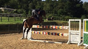 The Blair-bound blog — my first one-star: last-minute brakes testing and a gazebo disaster - Horse & Hound