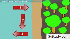 Beaches as Dynamic Systems