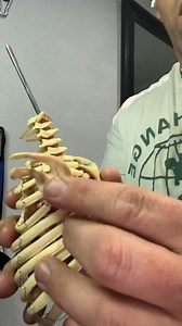 21 reactions · 4 comments | I always say, YOUR SHOULDER MAY HURT, but it is YOUR SHOULDER BLADES fault! Make these drills a habit and we can stop blaming the shoulder blade! GET A BODY BLUEPRINT on sale! SAVE $25.00. ✔I will assess you from HEAD TO TOE. ✔Figure out WHAT YOU NEED. ✔Build you A PLAN. https://www.romfit.com/products/tbb Become a Better Human #becomeabetterhuman | Range of Motion | Facebook