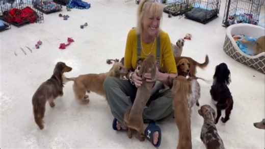 'Pet Pals TV': Grateful Rescue and Sanctuary promotes over 600 rescue animals