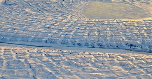 Carbon Within the Permafrost Will Escape by 2100, Warns NASA