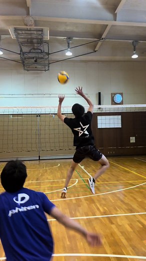 日本男子バレーの魅力とハイキューの世界
