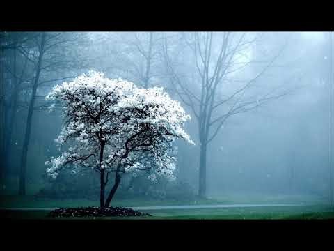 HEALING AND DELIVERANCE FROM DEMENTIA, ALZHEIMER'S AND INFIRMITY - PASTOR ROBERT CLANCY