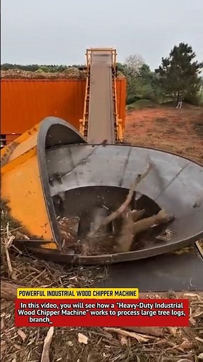 Powerful Industrial Wood Chipper Machine | Tree Log Grinder with Conveyor.
