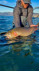 I love these fish. | Trout Trap Flies