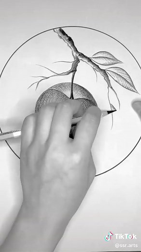 How to Draw a Beautiful Apple with Pencil