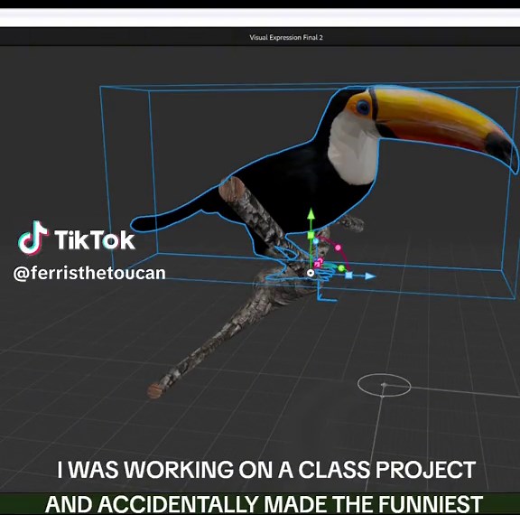 #FunnyBirdToucan: Hilarious 3D Modeling Meme with Toucan Bird!