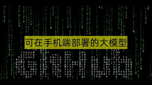 可在手机端部署的大模型