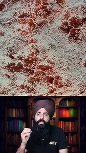 37K views · 930 reactions | Lake Natron: The African Lake That Turns Animals to Stone #LakeNatron #AfricasDeadliestLake #facts | Jot Tv Media | Facebook