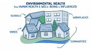 Video: Environmental health: Nursing - Video Explanation! | Osmosis | Osmosis