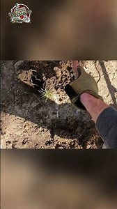 Digging for Treasure: Found a Pull Tab & Copper Coin! #shorts