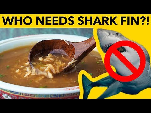 🚫 🦈 Shark Fin Soup, without the Shark.
