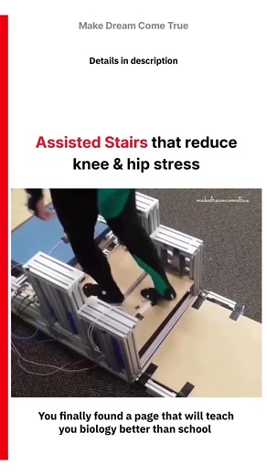🦵🏻 Assisted Stairs that reduce knee & hip stress 🩺 | MDCT