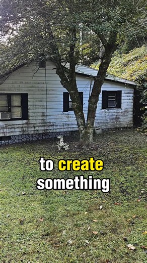 Nice kitchen cabinets | Old house