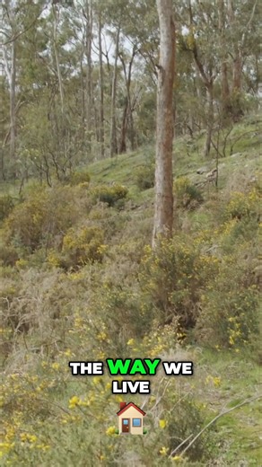 Reconnecting: Why It Matters and How To Live It This process of becoming connected again, it's very important to communicate the importance of it and the capacity to start doing it all the time through the way we live. Watch the full video on www.filmsforchange.stream/catalog | Films For Change