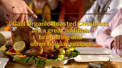 Galil Organic Roasted Chestnuts Pack of 24 Shelled & Ready to Eat Chestnuts - Gluten Free, Vegan, Organic, Non-GMO, Kosher Snacks - Great for Baking, Cooking & Turkey Stuffing 3.5oz Bags