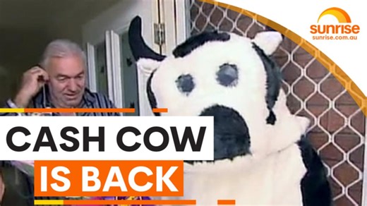 Sunrise cash cow is back