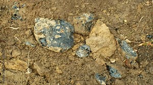 Remediation of contamination pollution, restoration toxic tar asphalt chemical in detail and closeup. Former dump waste, effects nature from contaminated soil and clay loam with chemicals and oil