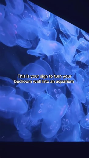 Fake windows are cool, but aquariums are dreamy #projector #projectorscreen