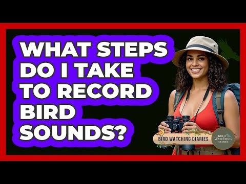 What Steps Do I Take To Record Bird Sounds?