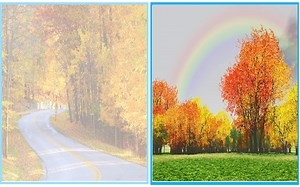 HTML5+CSS3案例实战|图片透明样式案例