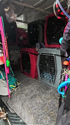 Essential Dog Training Van Setup for Winter