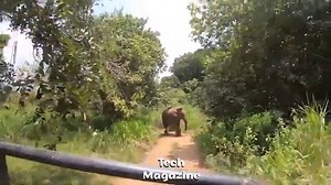 92K views · 978 reactions | SHOCKING Of Car Crashes of Idiots In Cars | Best Of The Month - BAD DRIVER 2024 | Caught on Camera | Facebook