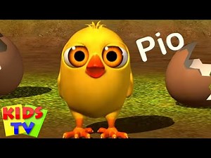 El Reino Il pulcino Pio + Mais Rimas Infantis e Vídeos Educativos