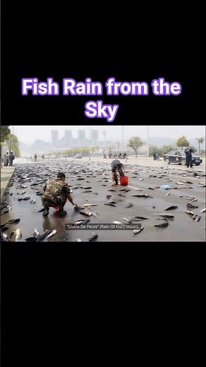 Fish Rain From The Sky – The Mysterious Phenomenon of Yoro Honduras #fishrain #fish #fishing #rain
