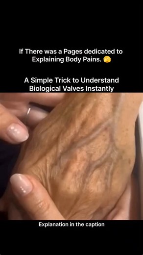 Explaining Biology on Instagram: "Biology doesn’t have to be confusing or boring. Sometimes, all it takes is a simple visual to make complex concepts finally click. Biological valves are found throughout the human body—inside veins, the heart, and other systems—working silently to ensure blood and fluids flow in the right direction. These valves open when pressure moves forward and close instantly to prevent backflow, protecting the body from serious complications. This quick demonstration shows