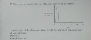 22 The graph shows the effect of pH on the activity of an enzym... | Filo