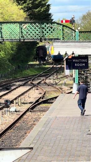 HST Driver experience signalling.