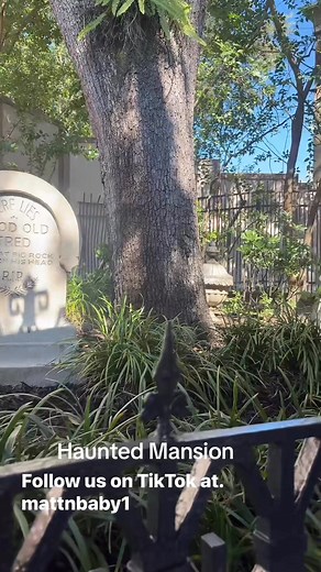 2.1K views · 29 reactions | Part 2 | Matt Reynolds | Facebook