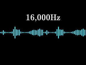 [4h] 16000Hz Mouse Repellent Sound – Ultrasonic Protection